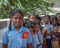 Education In Guindy Chennai