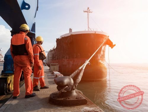 Husbandry-Services-3-scaled-1-pku9ng7ml4bms2rneaw5s3odhf0g1lcq7cdn74njrs