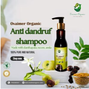 Screenshot-2025-02-03-124002