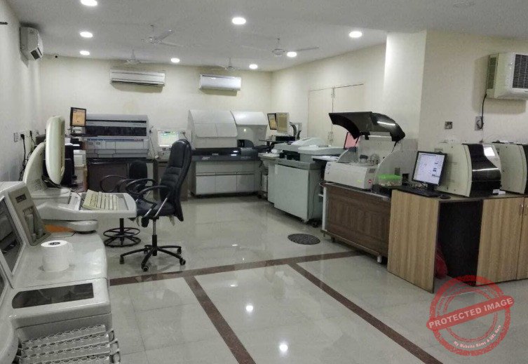 WhatsApp-Image-2025-02-17-at-114835-AM