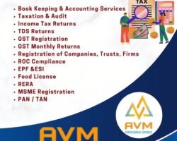 avm-profesional-services-pallikaranai-chennai-auditors-nsy56u2p96