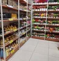 download - 2025-02-24T170245.425