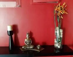 download-2025-02-28T162407.102