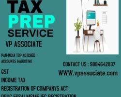 v-p-associate-madipakkam-chennai-gst-accountants-v5tvqmbc7x