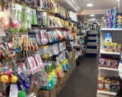 annai-aquarium-and-pets-aminjikarai-chennai-aquarium-accessory-dealers-1q1g7bvmau