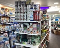 annai-aquarium-and-pets-aminjikarai-chennai-aquarium-accessory-dealers-p678bj2eg9