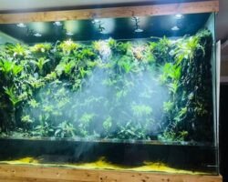 arun-pet-shop-chromepet-chennai-aquarium-accessory-dealers-54rwldtw7y