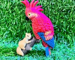 arun-pet-shop-chromepet-chennai-aquarium-accessory-dealers-5xu7ncjbtd