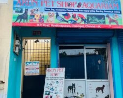 arun-pet-shop-chromepet-chennai-aquarium-accessory-dealers-q2rrhf88ew