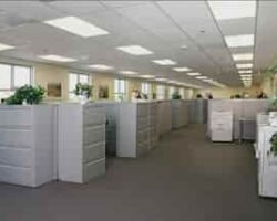 electrical-contractors-for-office-044pxx44.xx44.220809112741.p5j9-dz8ys85