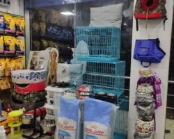 elite-pet-store-kattupakkam-chennai-dog-food-retailers-3xkoq4xnh0