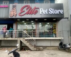 elite-pet-store-kattupakkam-chennai-dog-food-retailers-ayi9e3ubte