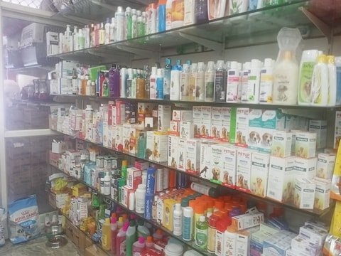g-r-aquarium-and-pets-arumbakkam-chennai-aquarium-fish-dealers-c673wgdrnk