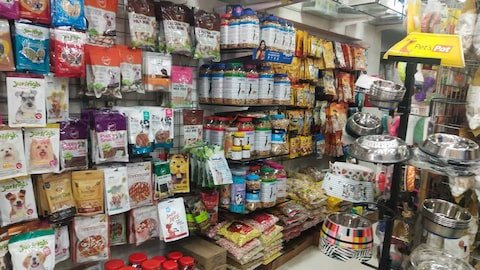 g-r-aquarium-and-pets-arumbakkam-chennai-aquariums-myw5mdmtjj