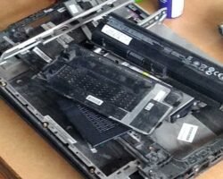 it-expert-chennai-0szogne91s