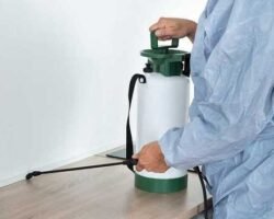 j-k-pest-control-services-royapettah-chennai-pest-control-services-1hylveugls-250