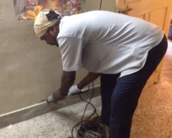 j-k-pest-control-services-royapettah-chennai-residential-pest-control-services-y7feri-250