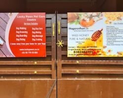 lucky-paws-home-boarding-and-daycare-kovur-chennai-dog-creche-9mkmu4zm0m