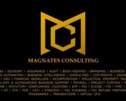magnates-consulting-saidapet-chennai-auditors-for-bank-7h9wli8h1b1