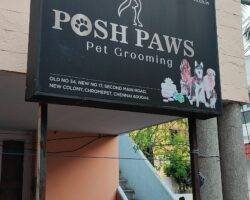 posh-paws-chromepet-chennai-pet-care-takers-r7y3fymfwp1