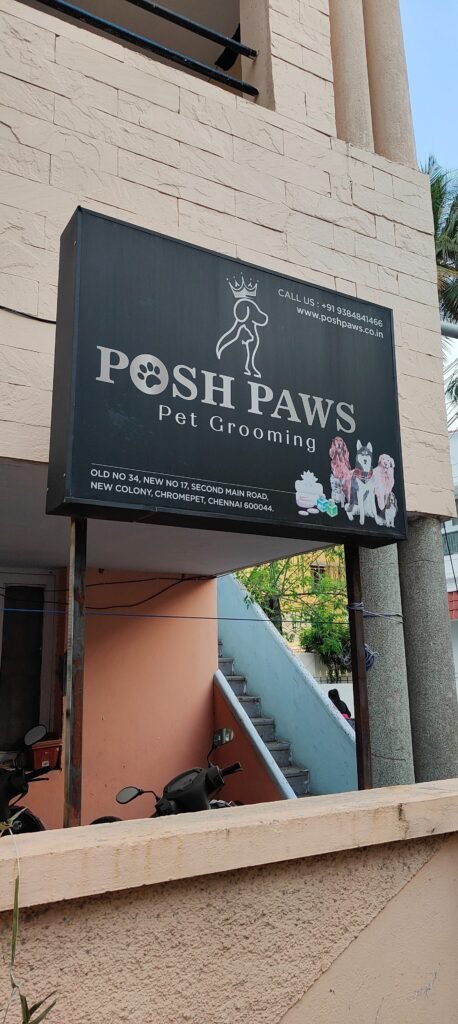 posh-paws-chromepet-chennai-pet-care-takers-r7y3fymfwp1