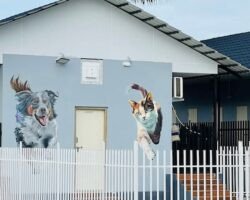 rc-pet-resorts-thiruvidanthai-chennai-pet-care-takers-1fra5f9vps