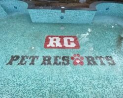 rc-pet-resorts-thiruvidanthai-chennai-pet-care-takers-s9omjnghls1