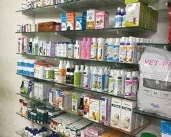s-s-veterinary-hospital-nolambur-chennai-pet-shops-2zln6ab