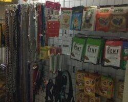s-s-veterinary-hospital-nolambur-chennai-veterinary-doctors-2xtirj5