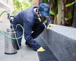 shine-pest-control-management-kodambakkam-chennai-residential-pest-control-services-nfs3tqoav3
