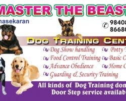 the-best-dog-training-center-tharamani-chennai-dog-trainers-pjnky3u8jt1