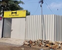 the-doggie-manor-kovilambakkam-chennai-pet-shops-Jg8QXEqpTp
