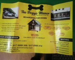 the-doggie-nannor-kovilambakkam-chennai-puppy-figure-toy-manufacturers-i20r2hwnmv1