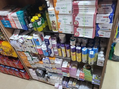 waggy-tails-pet-care-kelambakkam-chennai-pet-shops-1bk8y6juz7