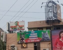 waggy-tails-pet-care-kelambakkam-chennai-veterinary-clinics-t1z1wyk4u91