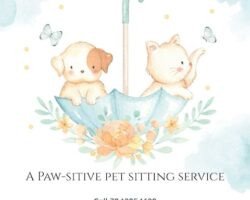 zootopia-pet-boarding-nesapakkam-chennai-pet-care-takers-gjbqyd3z6t