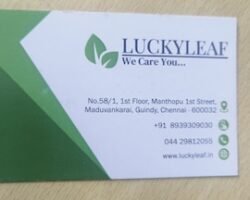 luckyleaf-services-pvt-ltd-guindy-chennai-residential-cleaning-services-6v5e9gmuwe