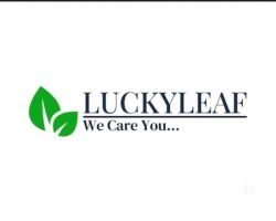 luckyleaf-services-pvt-ltd-saidapet-chennai-residential-cleaning-services-qep67zq3di