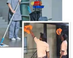 manpower-facility-management-services-044pxx44.xx44.210309104514.h9q5-u8c9v7k