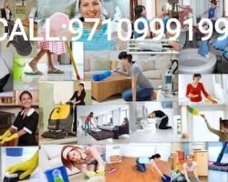 mr-clean-aminjikarai-chennai-corporate-housekeeping-services-0f8xj2xti8