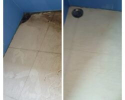 new-look-home-cleaning-services-mylapore-chennai-residential-cleaning-services-1zs1x2xfay