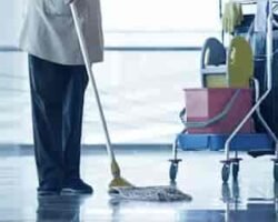 office-housekeeping-services-044pxx44.xx44.200809201004.h7n2-mw49rka