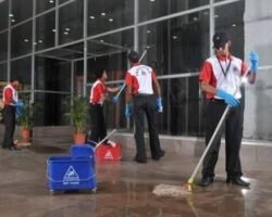 apollo-management-services-t-nagar-chennai-manpower-suppliers-1scojy