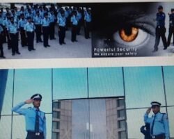 apollo-management-services-t-nagar-chennai-manpower-suppliers-l2l3cygolj