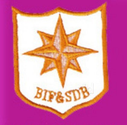 bharat-industrial-fire-and-security-detective-bureau-sidco-estate-ambattur-chennai-security-services-for-factory-uq7w7djy4h