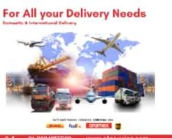 dhl-international-courier-044pxx44.xx44.201107173939.e3w2-79y1jdl