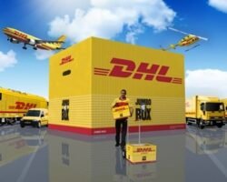 dtdc-dhl-express-courier-service-kattupakkam-chennai-domestic-courier-services-8pge1s5old1