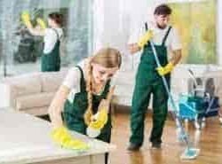 housekeeping-services-044pxx44.xx44.111020101105.p7g1-xokm71v