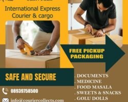kamatchi-xpress-services-amman-chennai-courier-services-e7uf2ak3vb
