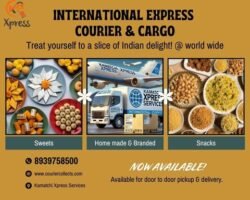 kamatchi-xpress-services-velacheri-chennai-courier-services-197fzm9cyl
